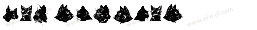 cat regular字体转换